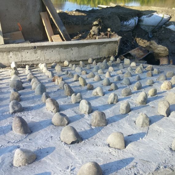 Les passes spécifiques à anguilles